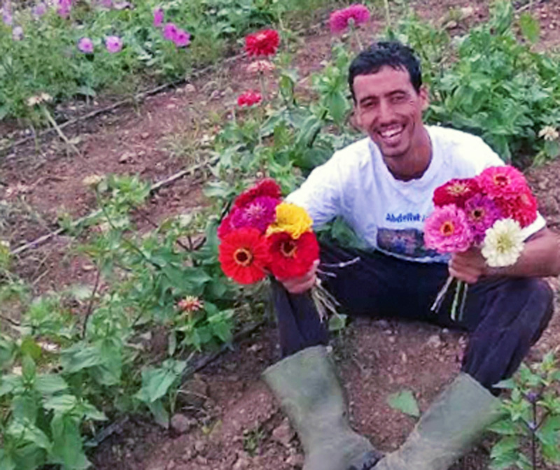 When Seeds Are Outlawed